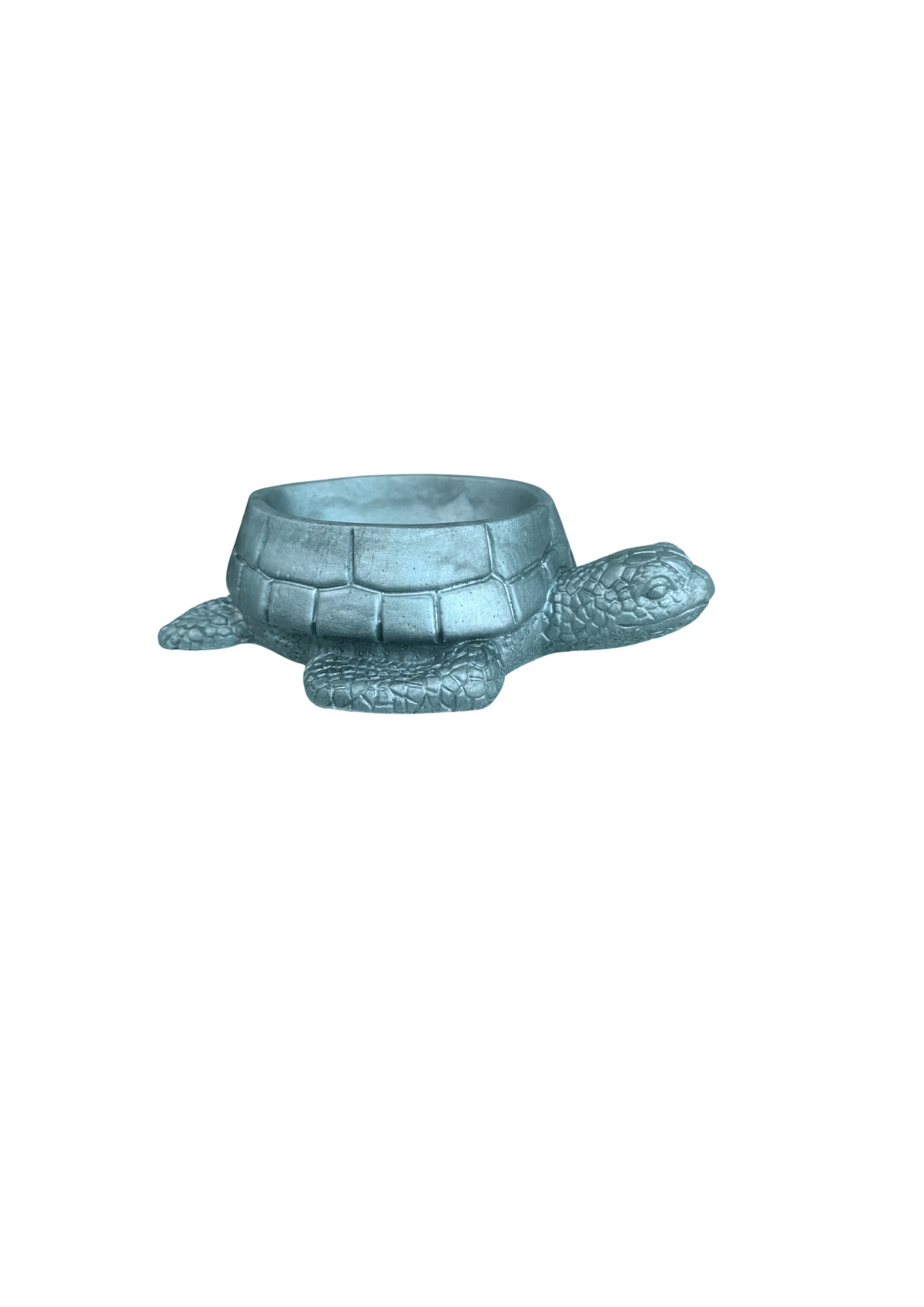 Turtle Bowl