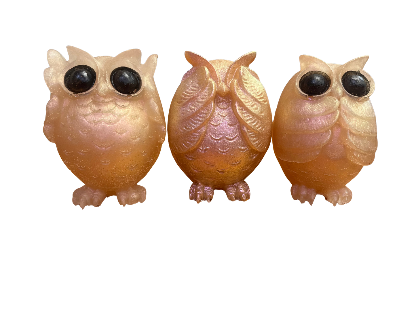 Three Wise Owls