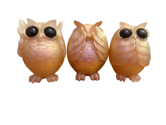 Three Wise Owls