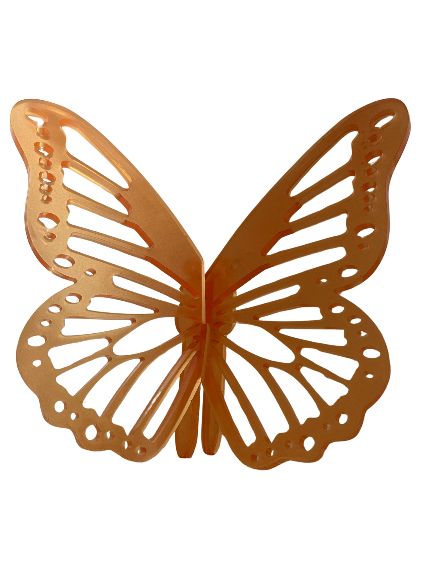 Butterfly book holders