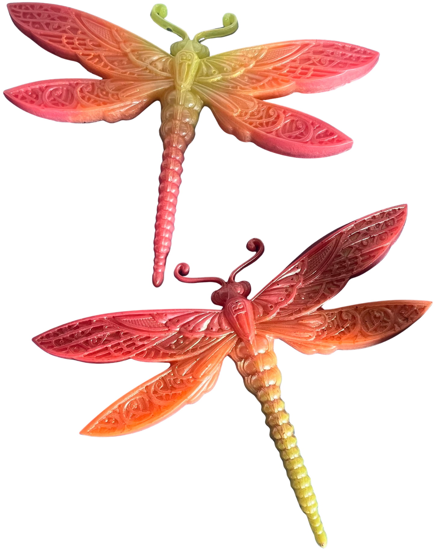 Dragonfly Wall Art