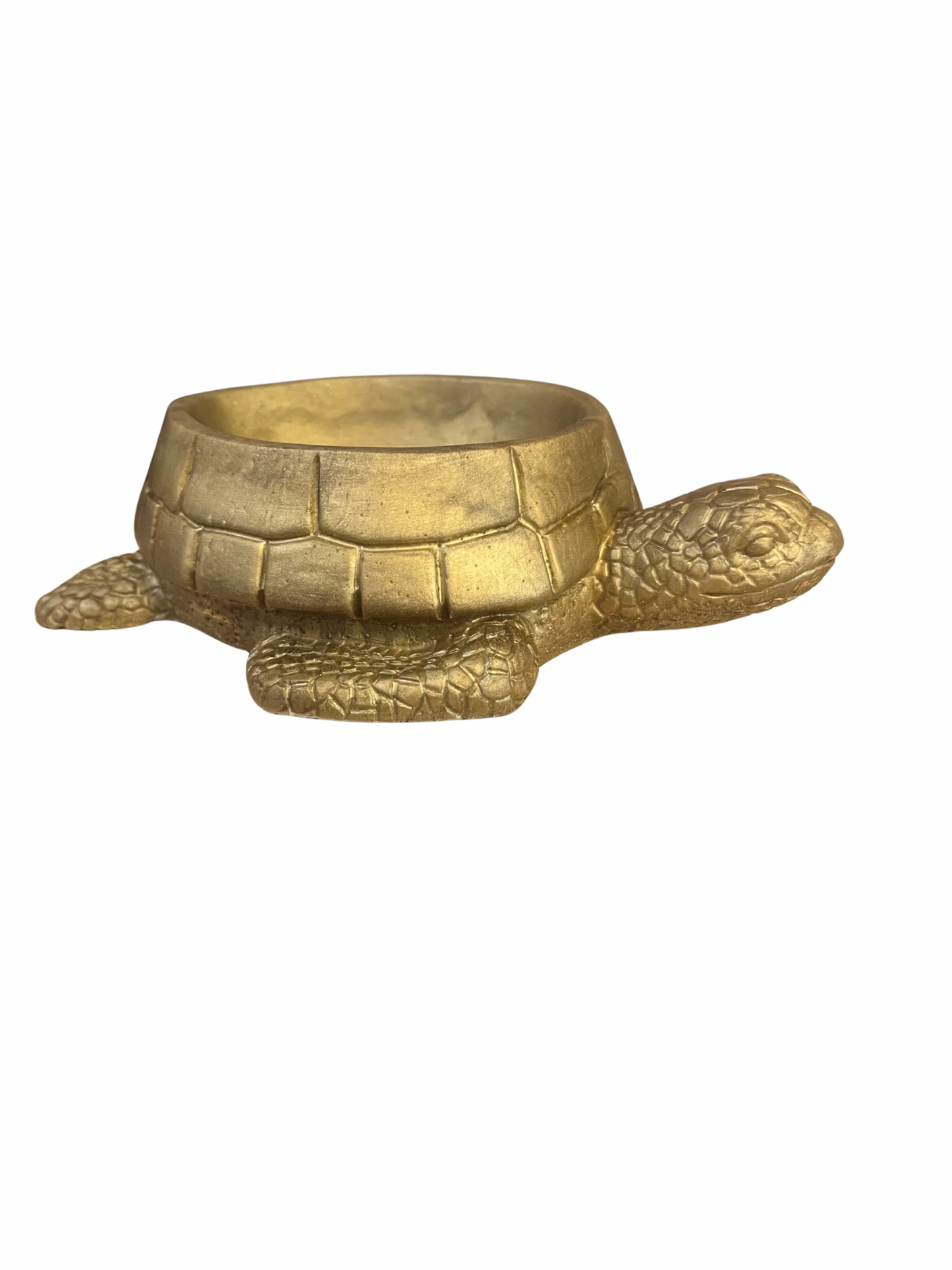 Turtle Bowl