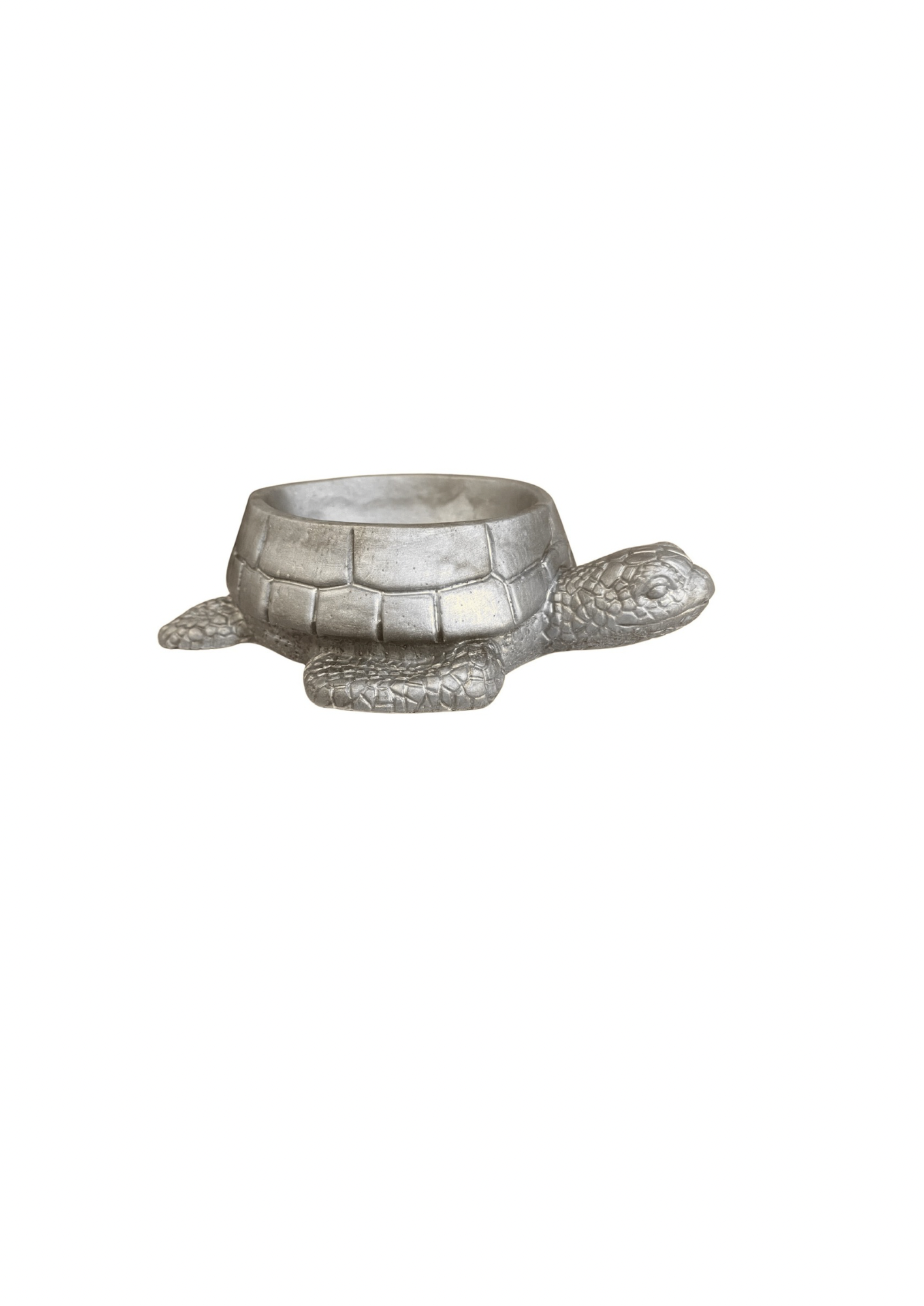 Turtle Bowl