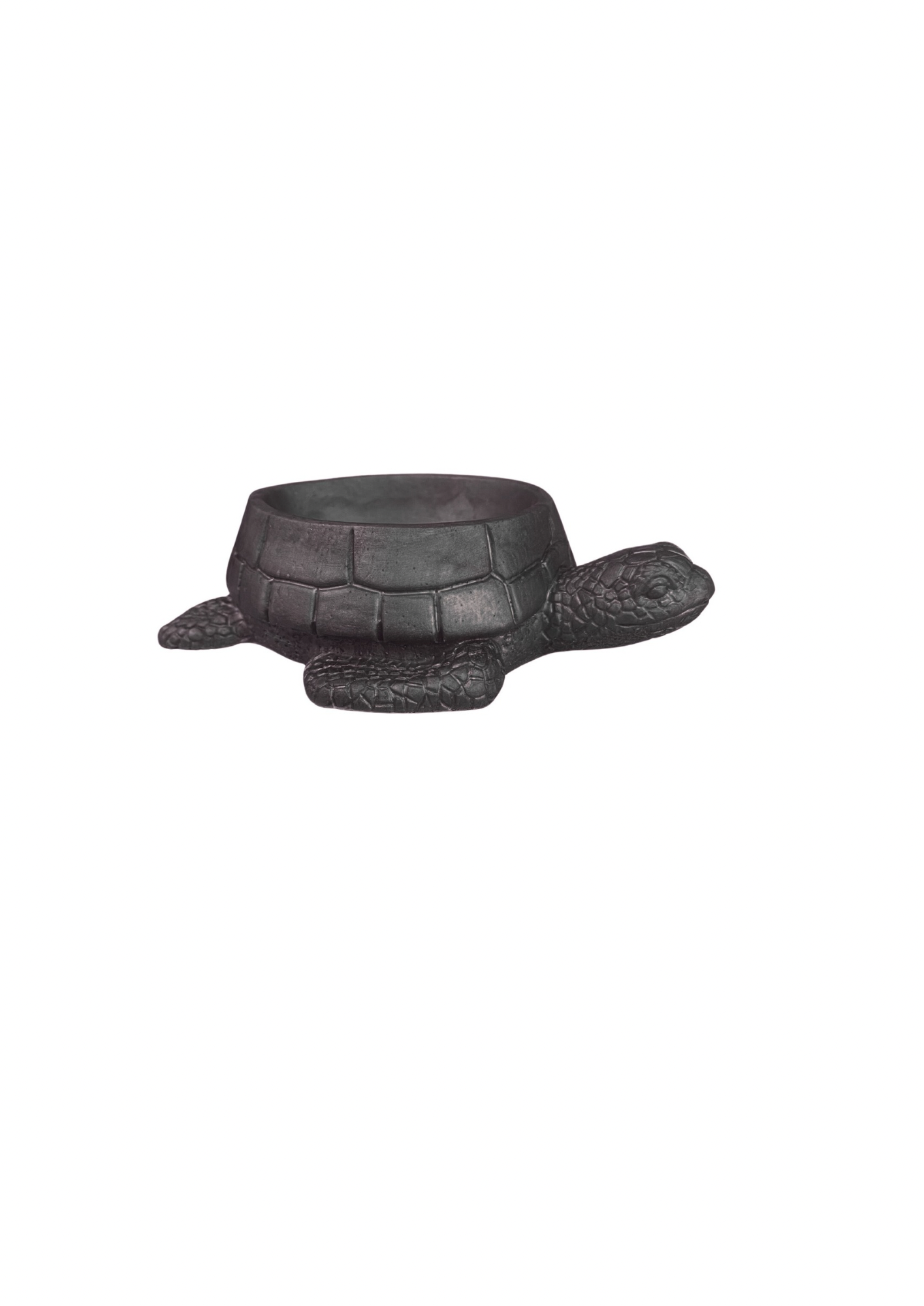 Turtle Bowl