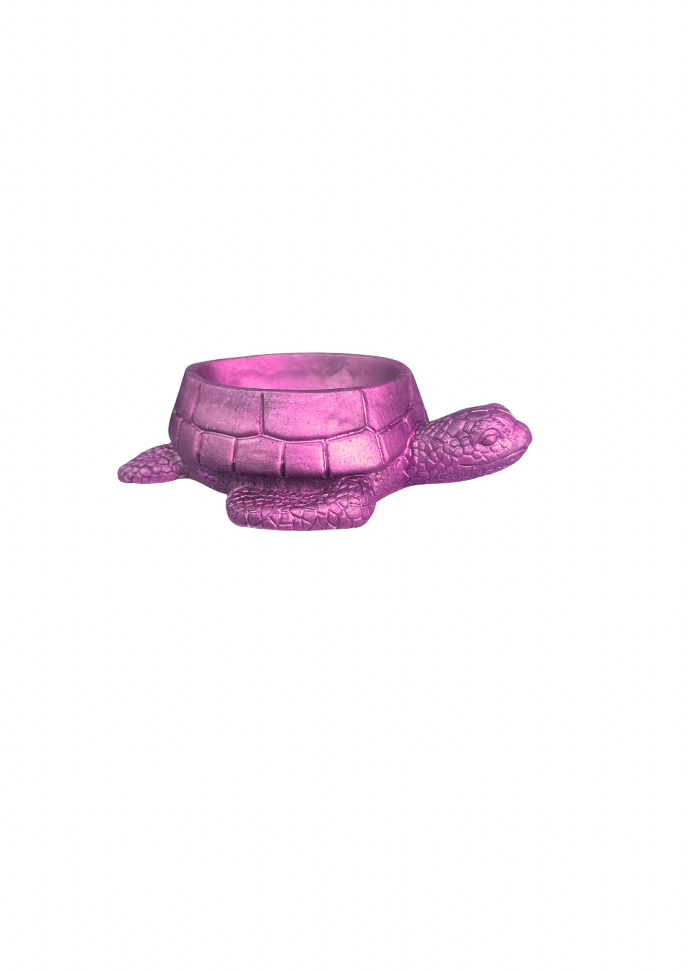 Turtle Bowl