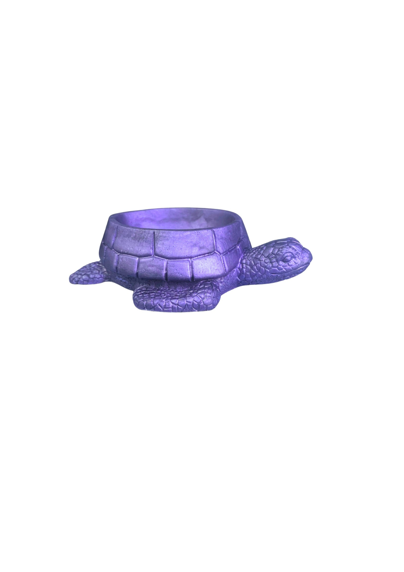 Turtle Bowl