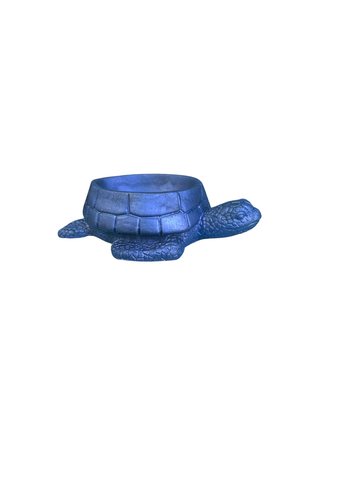 Turtle Bowl
