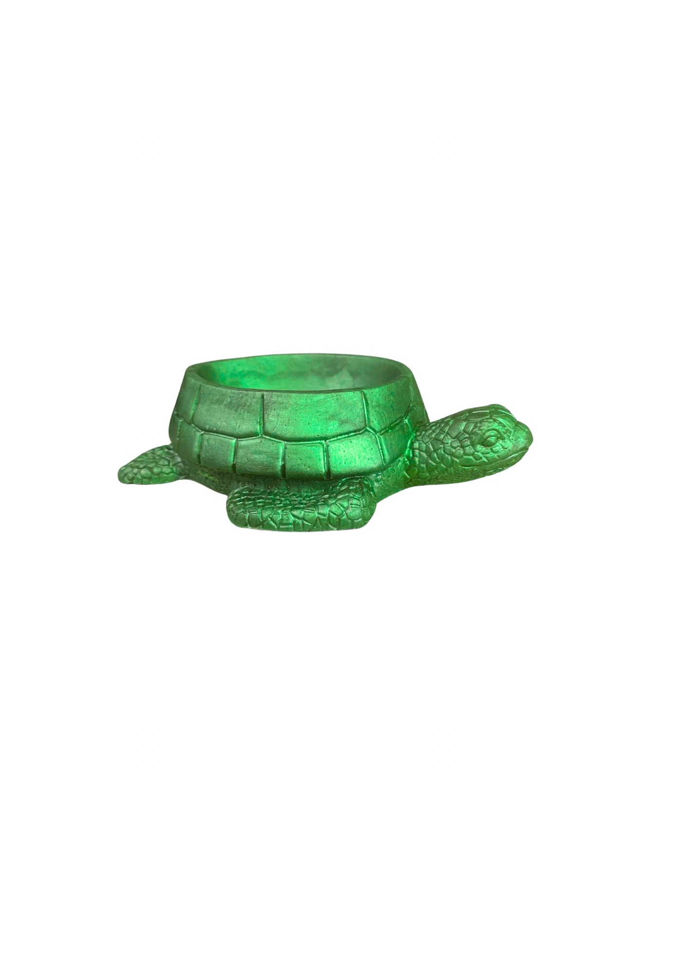 Turtle Bowl