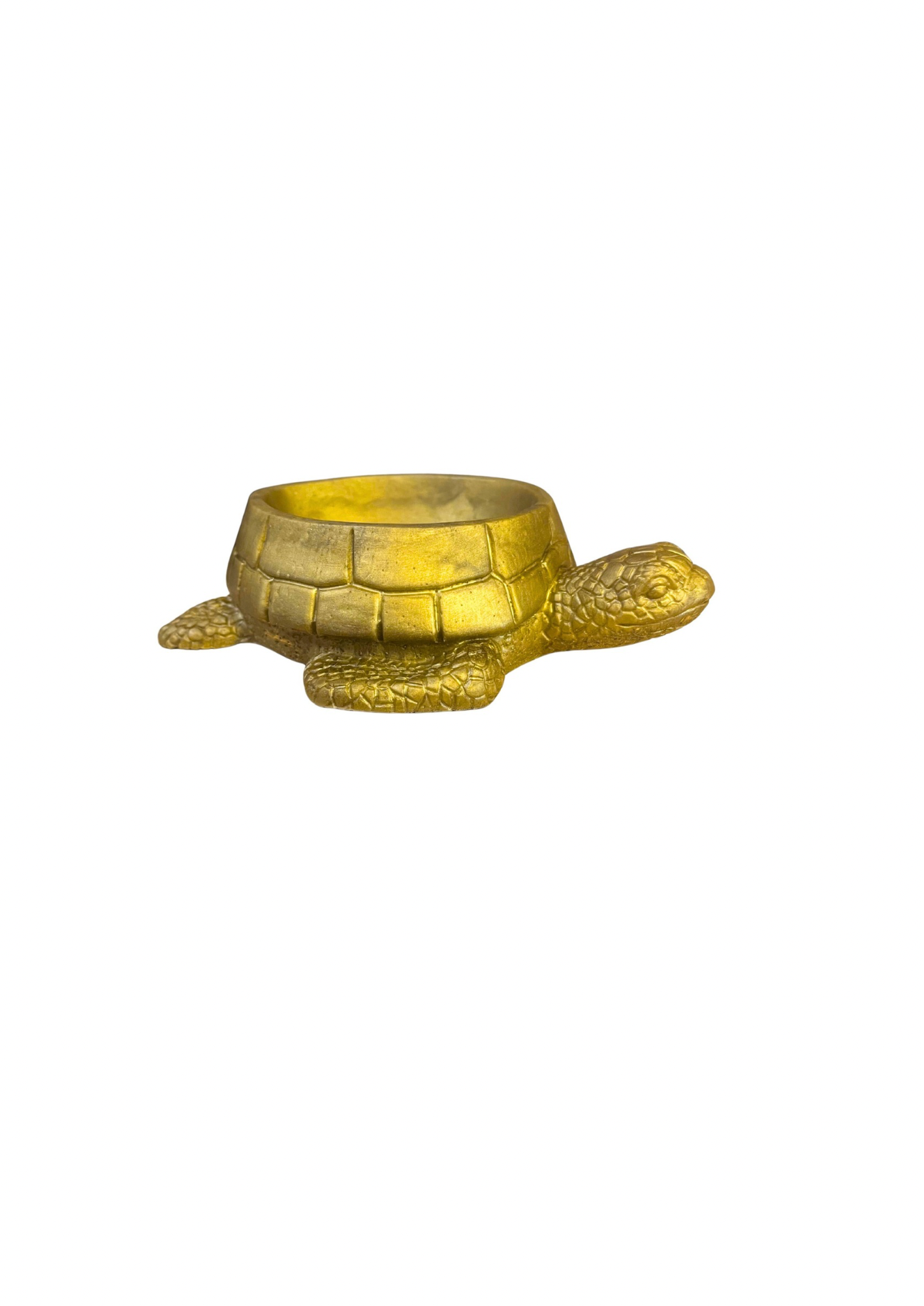 Turtle Bowl